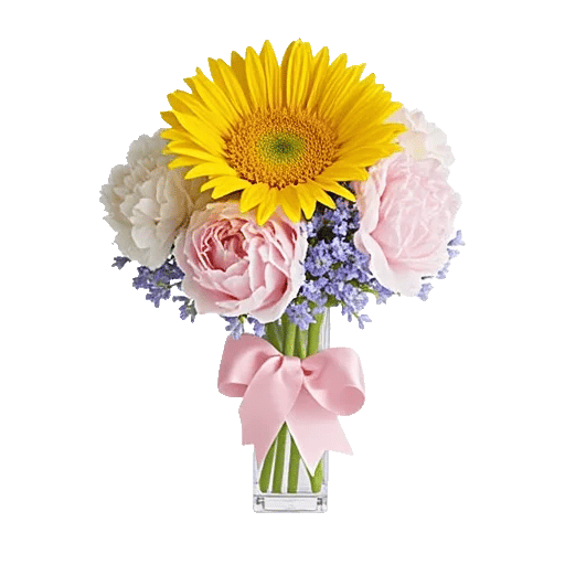 Petal Radiance Bliss