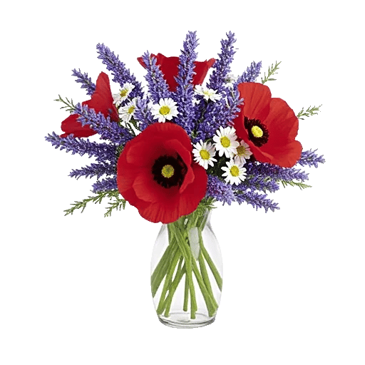 Rosemary Bloom Elegance