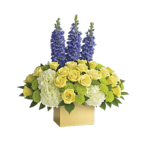 Ivory Blossom Radiance