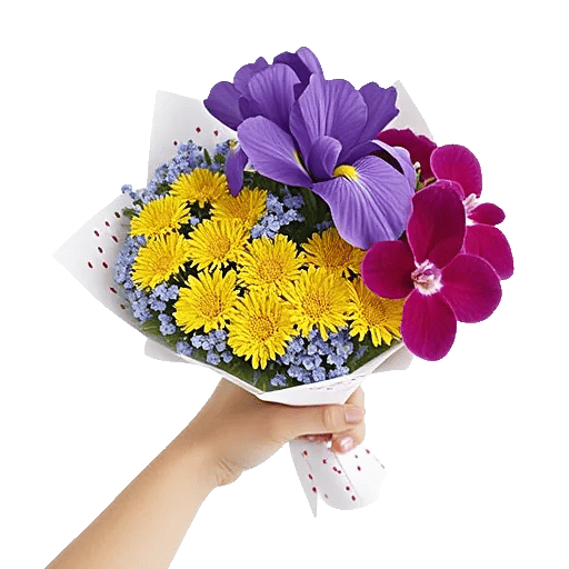 Ivory Blossom Radiance