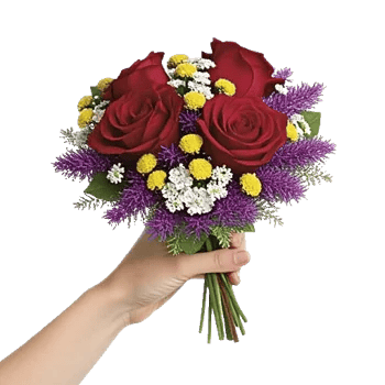 Crimson Rose Elegance