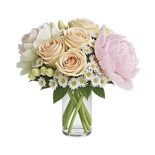 Ivory Blossom Radiance