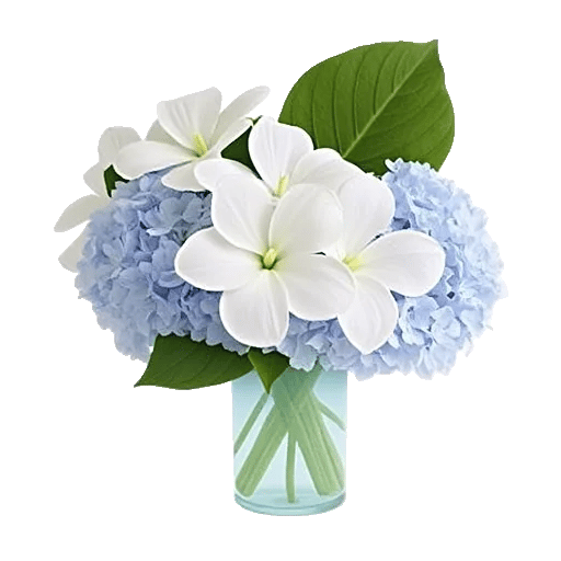 Serene Petal Harmony