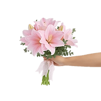 Rosemary Bloom Elegance