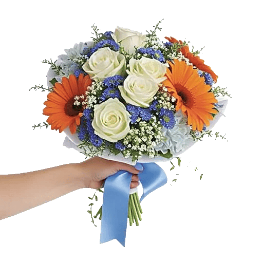 Serene Petal Harmony