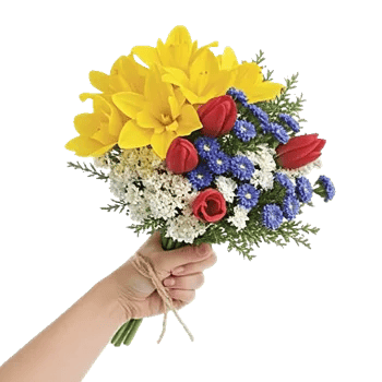 Blossom Harmony Display