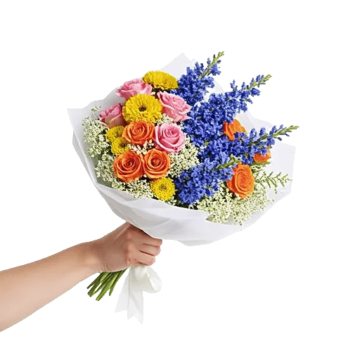 Blushing Rose Symphony