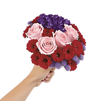 Blossom Harmony Display