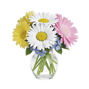 Enchanting Daisy Garden