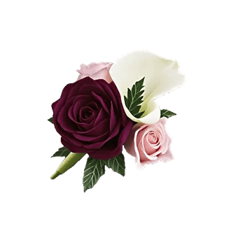 Elegant Calla Lilies