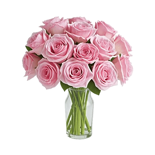 Pink Pastel Roses