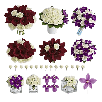 Elegant Calla Lilies