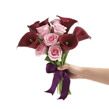 Elegant Calla Lilies