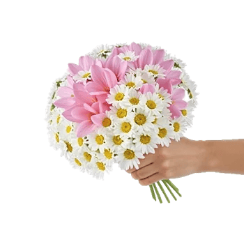 Delicate Petal Cascade