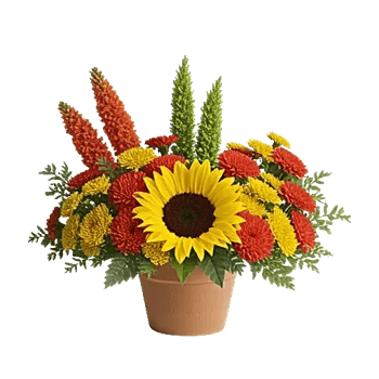 Amber Sunflower Glow
