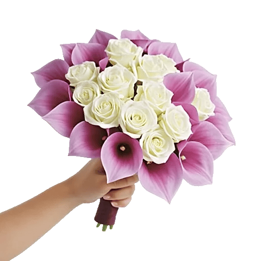 Elegant Calla Lilies