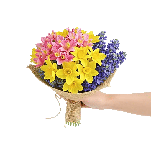 Blossom Harmony Display