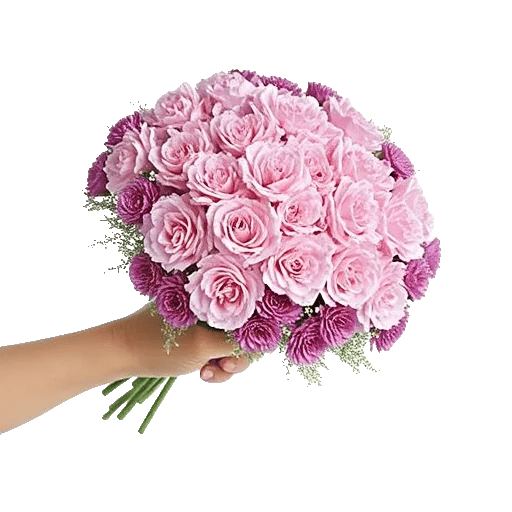 Pastel Pink Roses