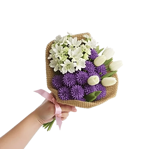Blossom Petal Serenity