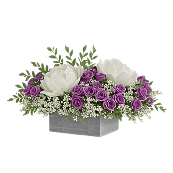 Ivory Blossom Radiance