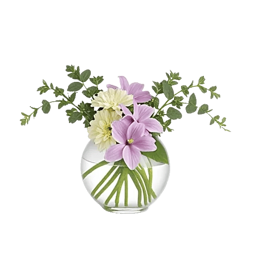 Minimalist White Orchids