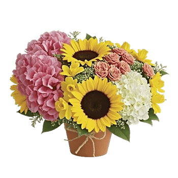 Blush Romantic Centerpiece