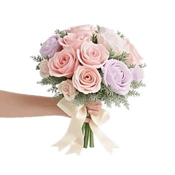 Pastel Pink Roses