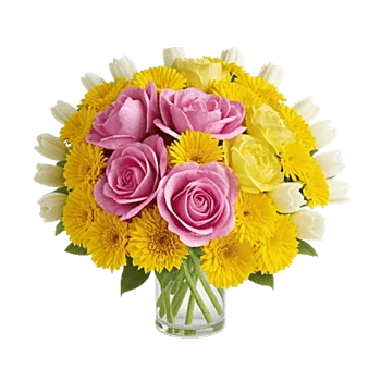 Petal Radiance Bliss