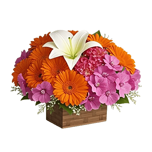 Blossom Glow Symphony