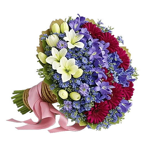 Blushing Rose Symphony