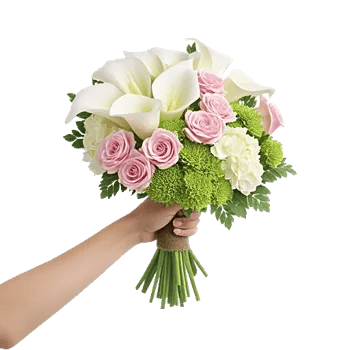 Elegant Calla Lilies