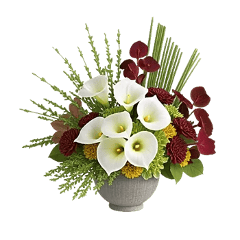 Elegant Calla Lilies