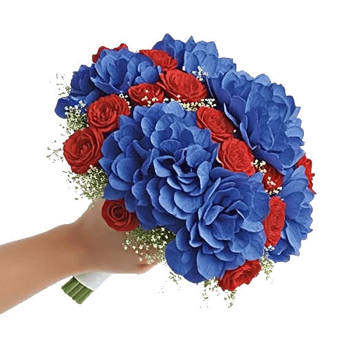 Sapphire Bloom Whisper