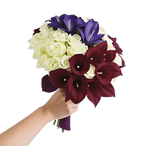 Elegant Calla Lilies