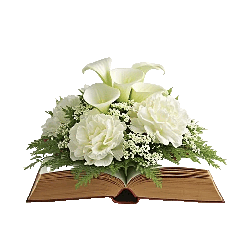 Elegant Calla Lilies