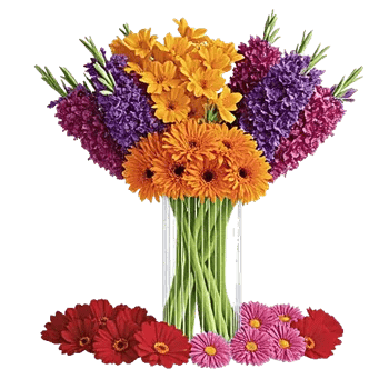 Petal Radiance Bliss