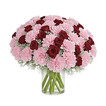Pink Pastel Roses