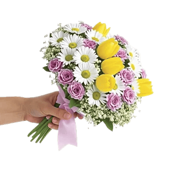 Blossom Harmony Display