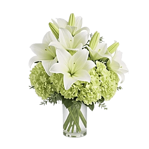 Ivory Blossom Radiance