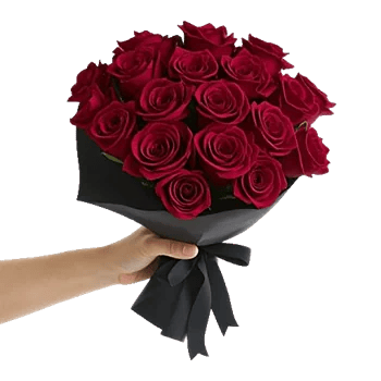 Crimson Rose Elegance