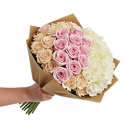 Pastel Pink Roses