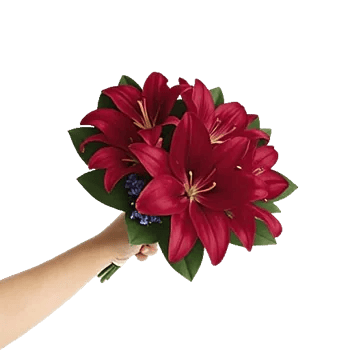 Crimson Lily Glow