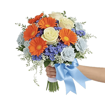 Serene Petal Harmony