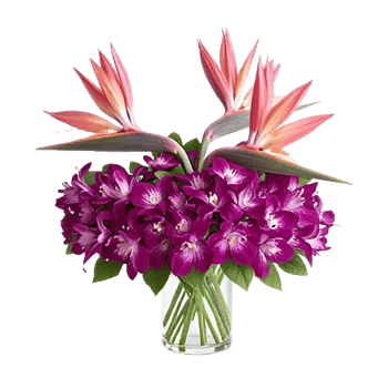 Orchid Bloom Cascade