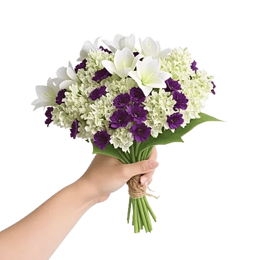 Ivory Blossom Radiance