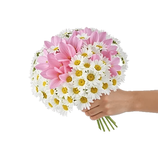 Delicate Petal Cascade