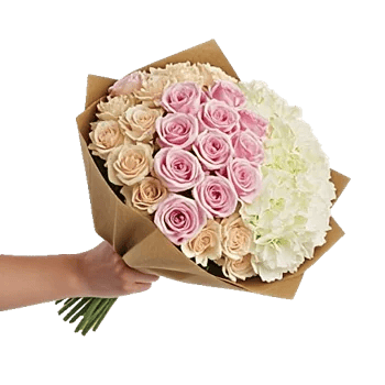Pastel Pink Roses