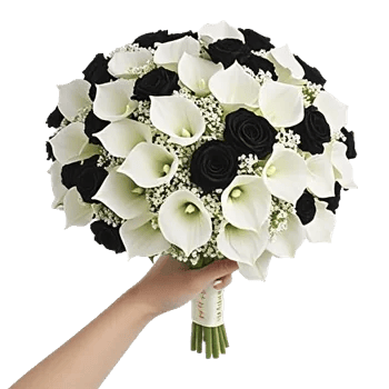 Elegant Calla Lilies