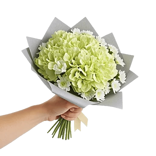 Serene Petal Harmony