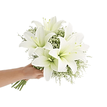 Graceful Lily Display